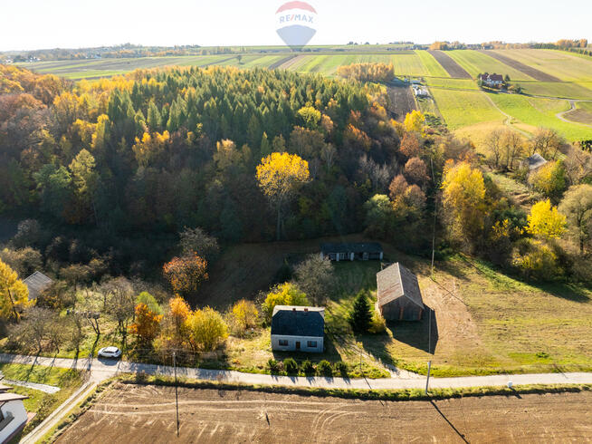 Dom z kawałkiem lasu i bijącym źródłem k\Skały