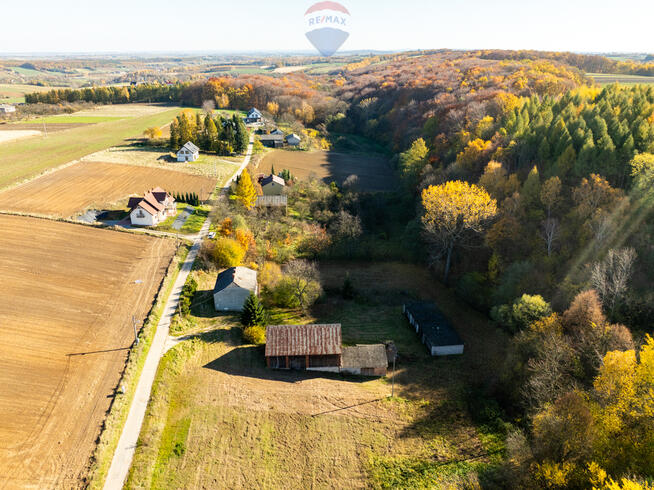 Dom z kawałkiem lasu i bijącym źródłem k\Skały