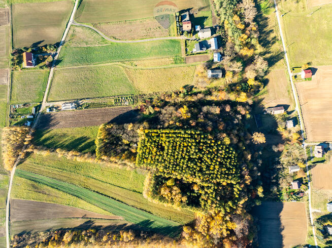 Dom z kawałkiem lasu i bijącym źródłem k\Skały