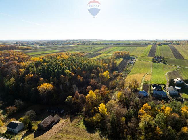 Działka z bijącym źródłem i kawałkiem lasu