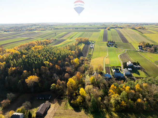 Działka z bijącym źródłem i kawałkiem lasu