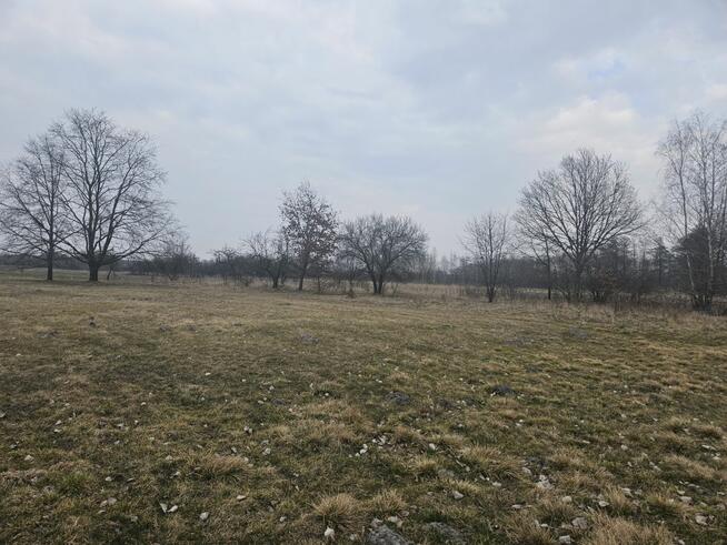 Działka budowlana Sanie gm. Aleksandrów Łódzki,