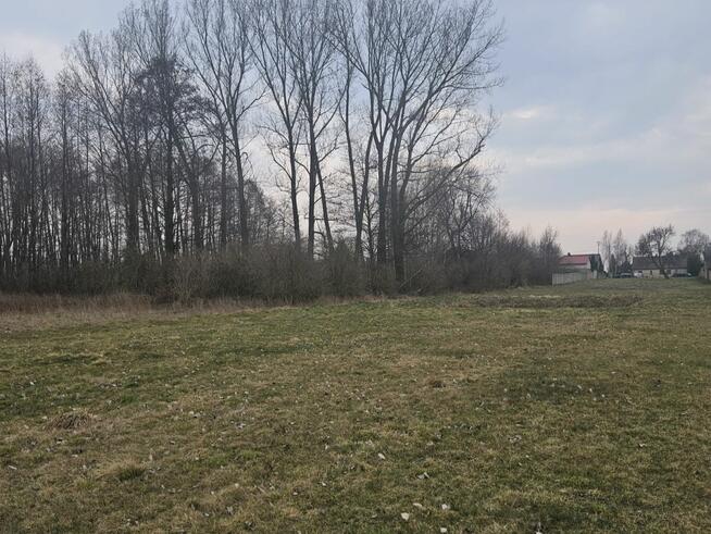 Działka budowlana Sanie gm. Aleksandrów Łódzki,