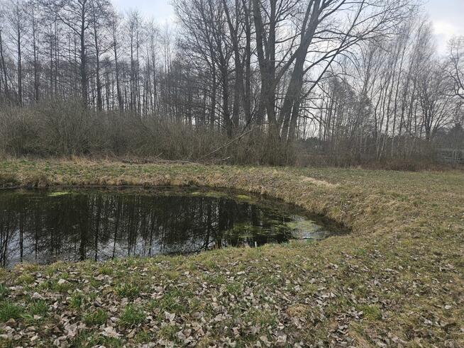 Działka budowlana Sanie gm. Aleksandrów Łódzki,