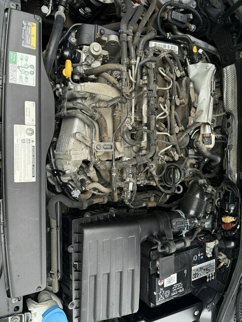 Volkswagen Golf Bardzo zadbana - oryginalny przebieg -