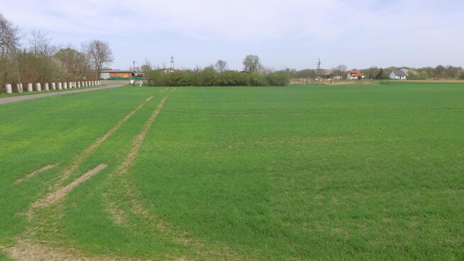 Dobra! Media, asfalt, 10 min do Oleśnicy
