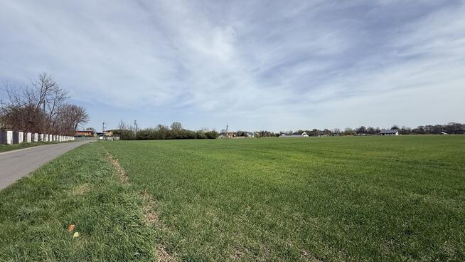 Dobra! Media, asfalt, 10 min do Oleśnicy