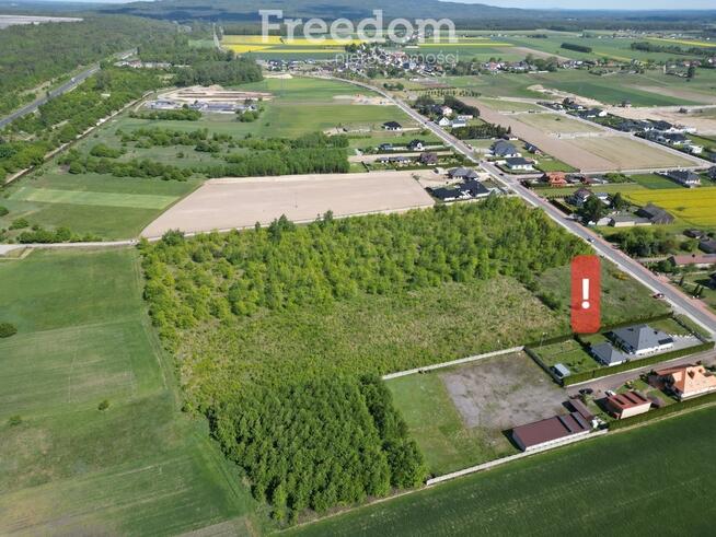 Działka budowlana w Łękińsko, Kleszczów