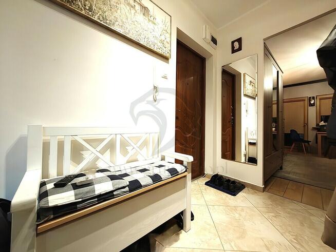 Słodkie Misiowe – miodzio klimat!