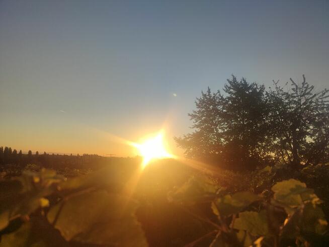 Ona jest ze snu, a ubrana w codzienność