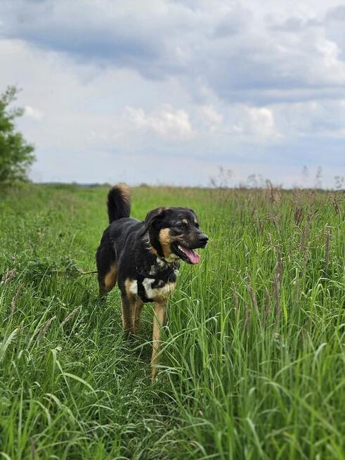 Czy musze mieć pecha do końca życia? Koral