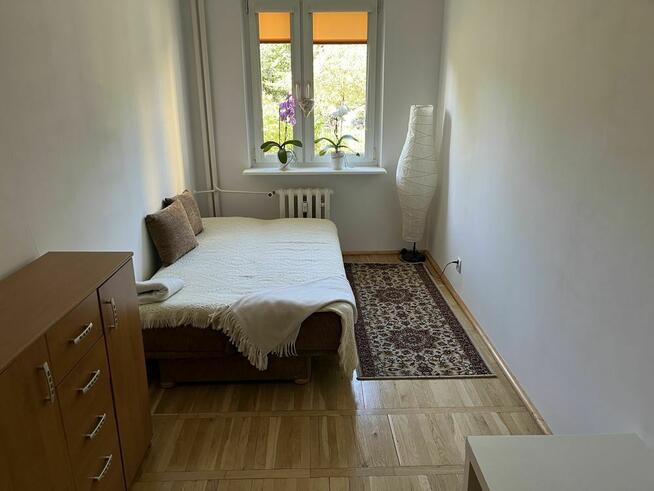 Do wynajęcia mieszkanie 2-pokojowe Winogrady