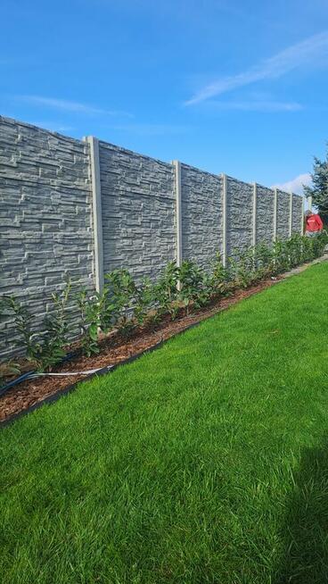 Producent ogrodzeń betonowych Montaż płyty Zgorzelec