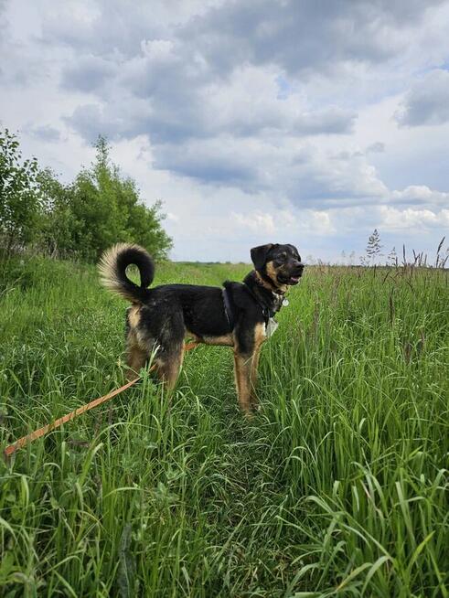 Czy musze mieć pecha do końca życia? Koral