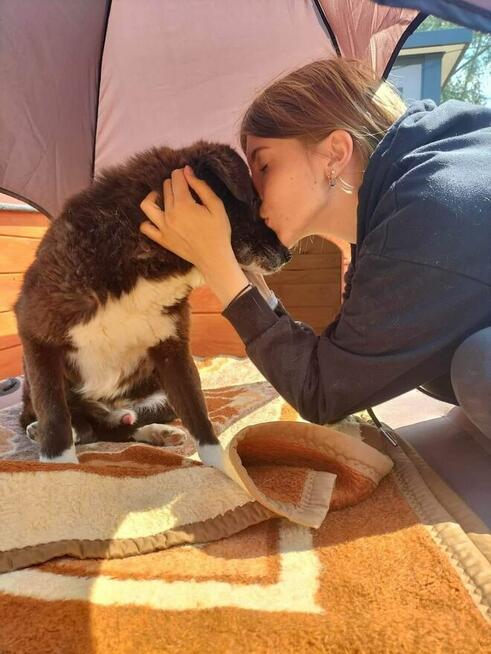 Wania - cudowny, ciepły, kochany psiak!