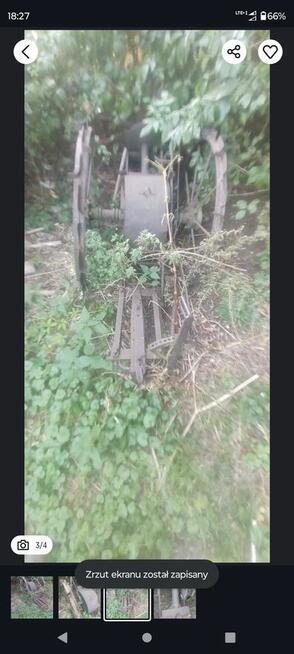 Kopaczka konna do ziemniaków