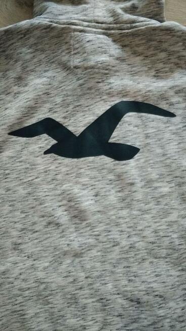 Bluza Hollister Abercrombie S Oryginal!