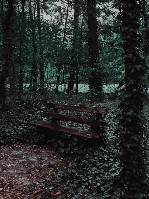 Chętnie wykonam zdjęcia, fotografia, sesje zdjęciowe