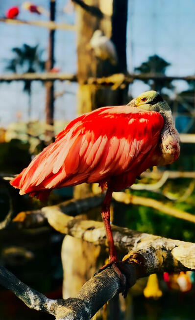 Chętnie wykonam zdjęcia, fotografia, sesje zdjęciowe