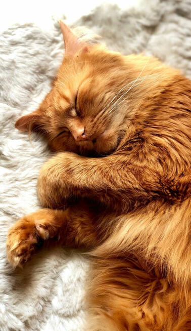 Chętnie wykonam zdjęcia, fotografia, sesje zdjęciowe