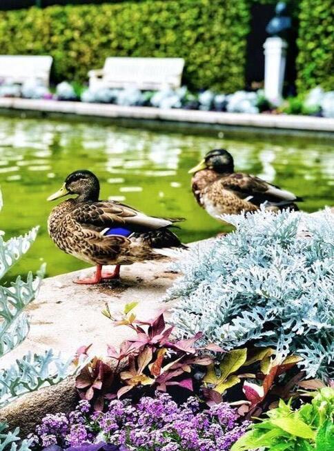 Chętnie wykonam zdjęcia, fotografia, sesje zdjęciowe