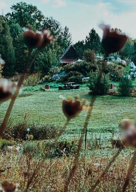 Chętnie wykonam zdjęcia, fotografia, sesje zdjęciowe
