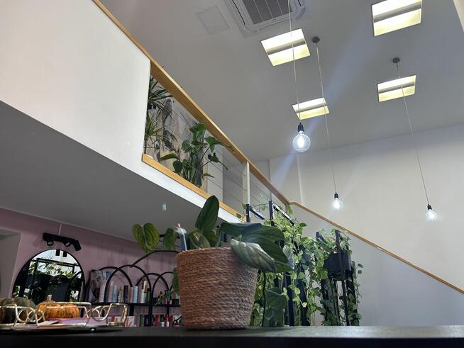 Sprzedam gotowy biznes