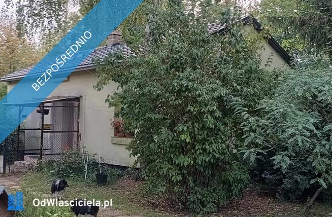 Posiadłość 4,6ha z zabudowaniami, stawem, blisko Warszawy