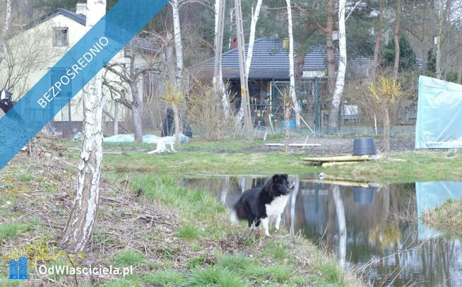 Posiadłość 4,6ha z zabudowaniami, stawem, blisko Warszawy