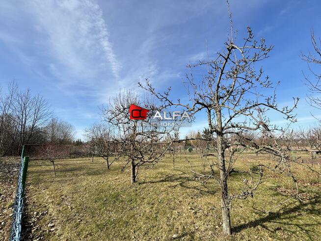 Mieszkanie Świdnica