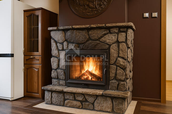 DOM 160 m² Na Działce 2,5 HA Rudki, gm. Szydłów