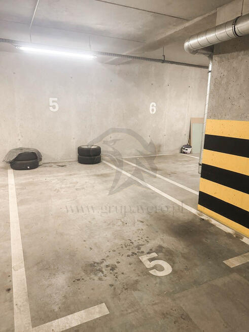 Tam, gdzie pływa Złota Rybka