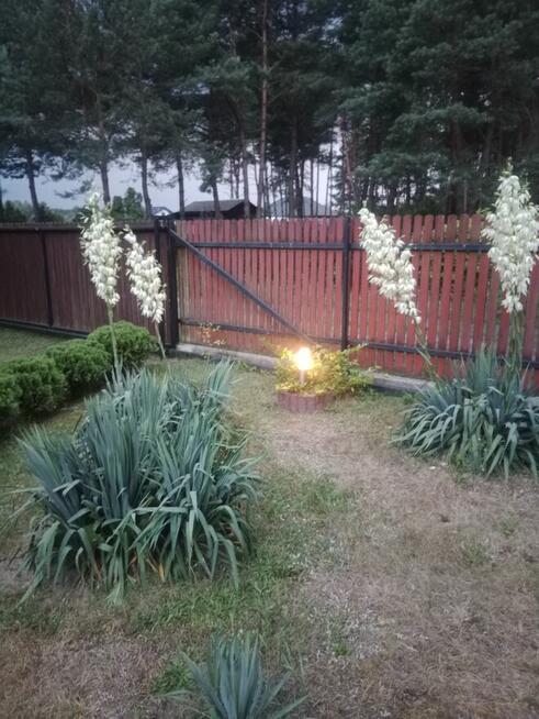 Sprzedam działkę budowlaną