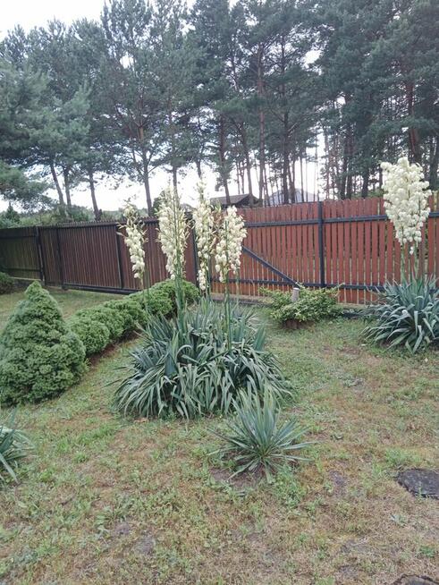 Sprzedam działkę budowlaną