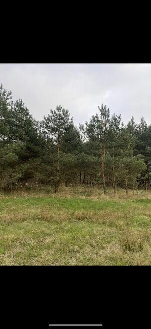 Duża działka rolna z dojazdem drogą asfaltową