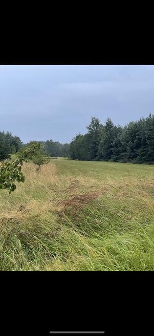 Duża działka rolna z dojazdem drogą asfaltową
