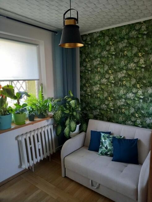 Kawalerka na Piaskowej Górze