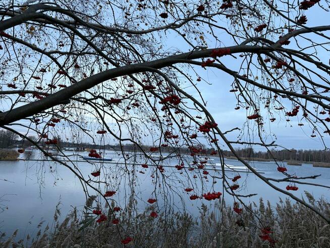 Nowy całoroczny domek Januszkowice