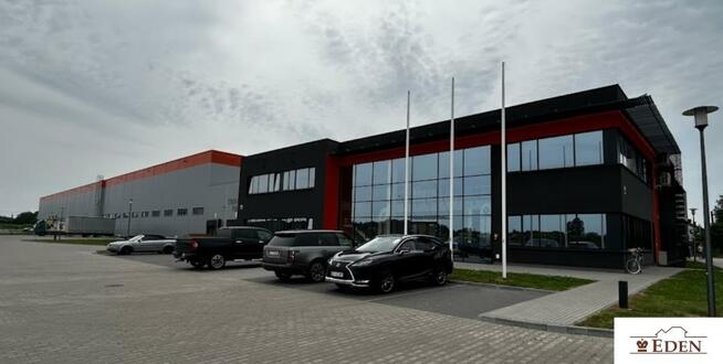 Lokal użytkowy Łuków