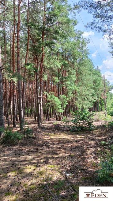 Działka Aleksandrówka gm. Stoczek Łukowski