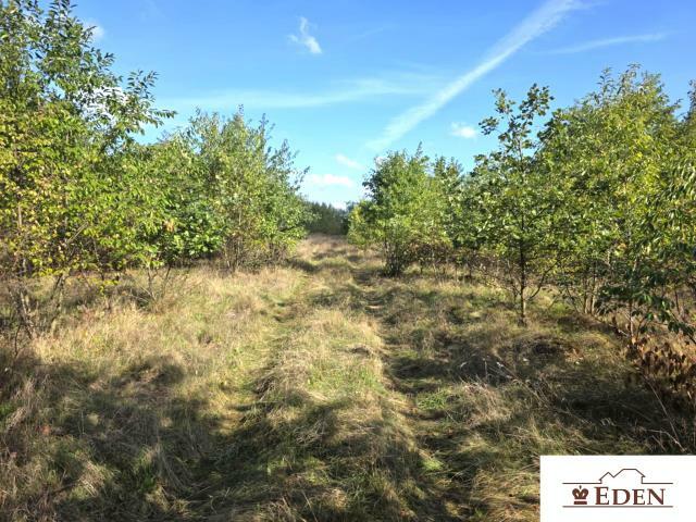 Działka budowlana Łuków, Poważe