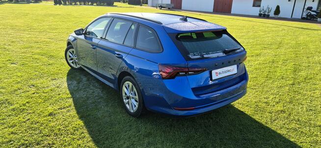 Škoda Octavia Zarejestrowany