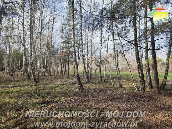 Działka rolno-budowlana Antoniew gm. Wiskitki