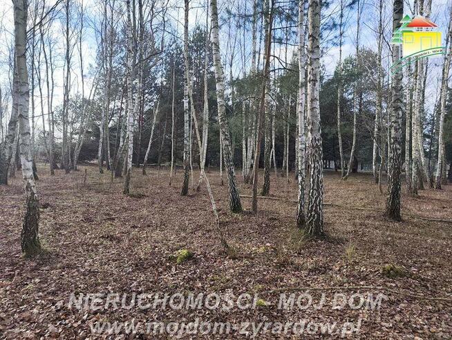 Działka rolno-budowlana Antoniew gm. Wiskitki