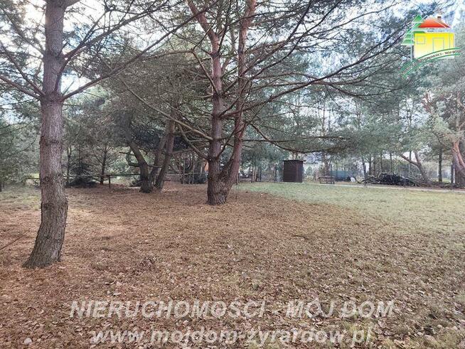 Działka rolno-budowlana Antoniew gm. Wiskitki