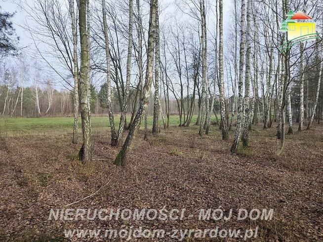 Działka rolno-budowlana Antoniew gm. Wiskitki