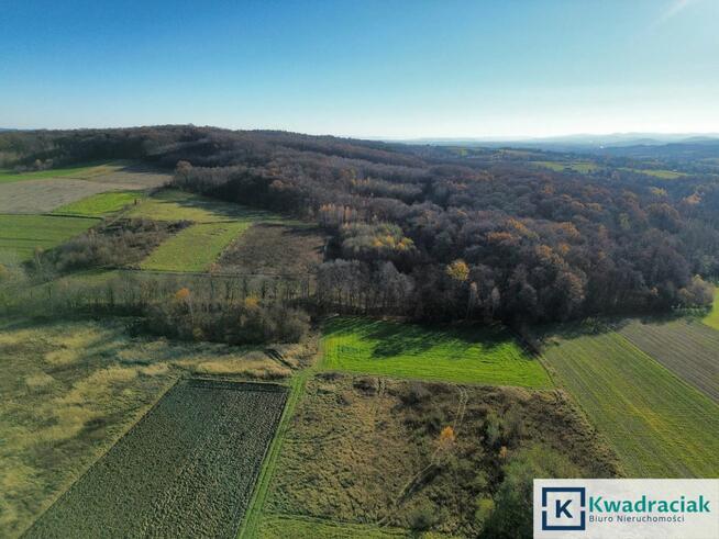 Działka rolna Podniebyle gm. Jedlicze,