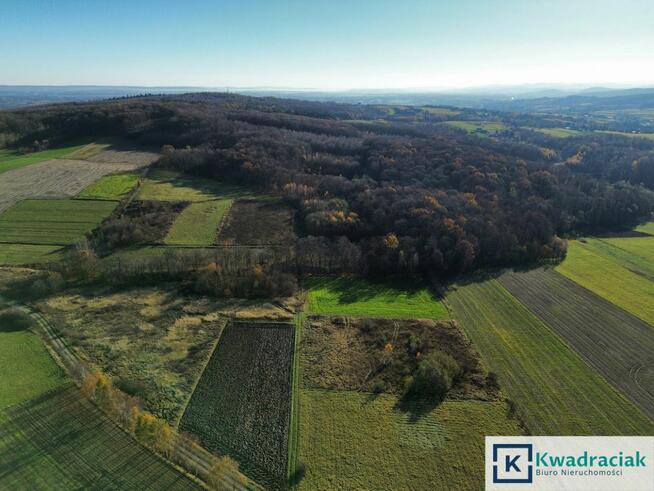 Działka rolna Podniebyle gm. Jedlicze,