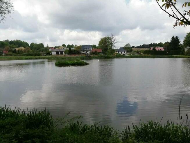 Działka o pow. 4,6 ha w Klementowicach gm. Kurów.