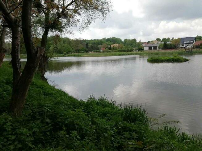 Działka o pow. 4,6 ha w Klementowicach gm. Kurów.